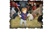 Ponies & Pals
