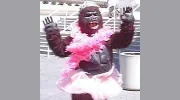 Babaloons & Tunes