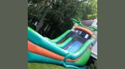 Leaps N Bounces